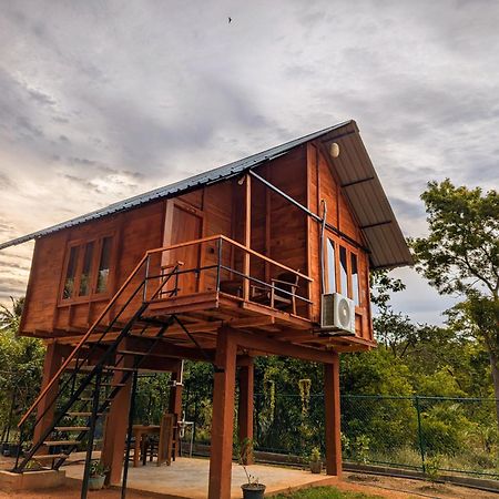 Lion Wood Treehouse Villa Talkote Eksteriør billede