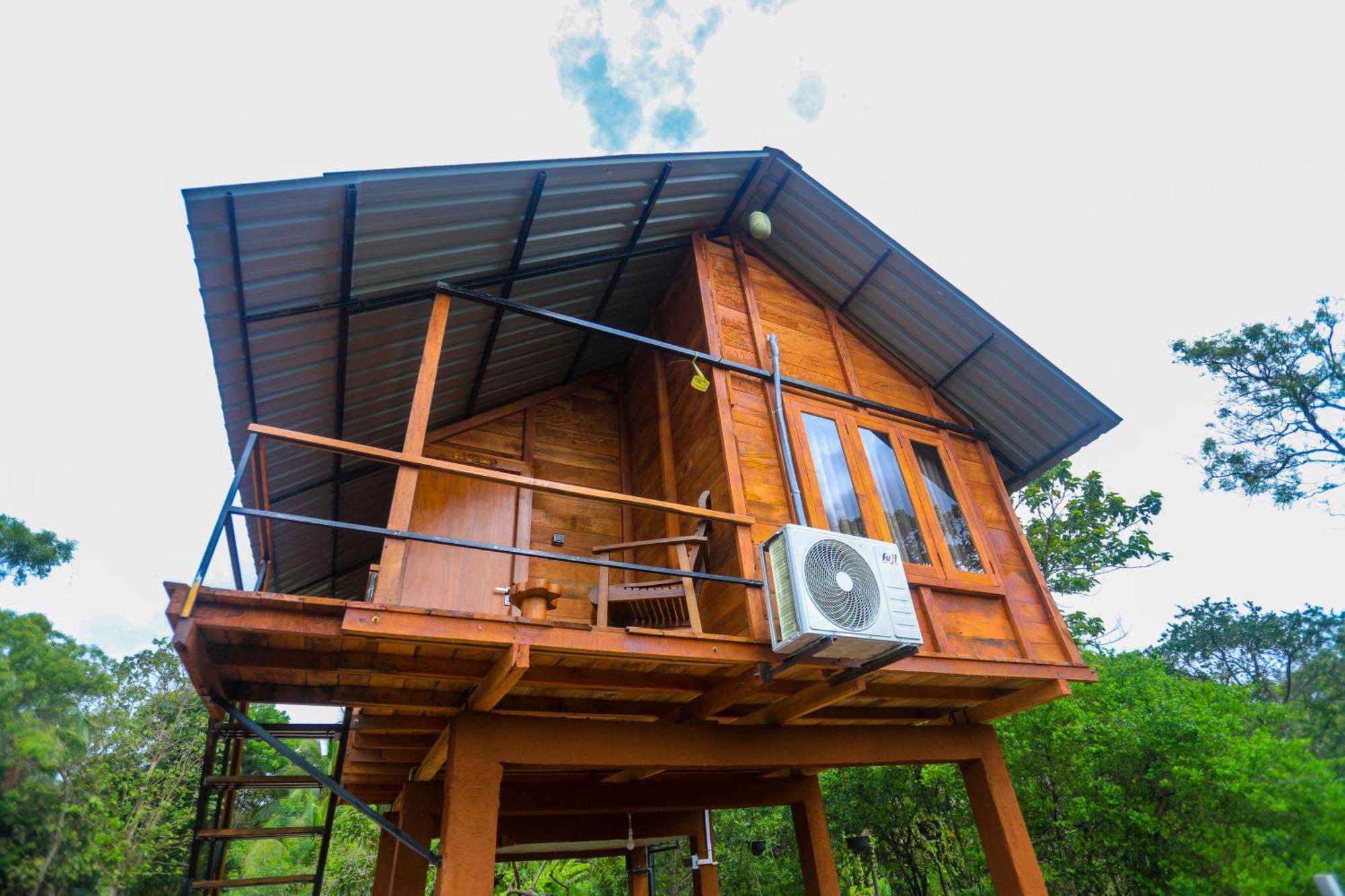 Lion Wood Treehouse Villa Talkote Eksteriør billede
