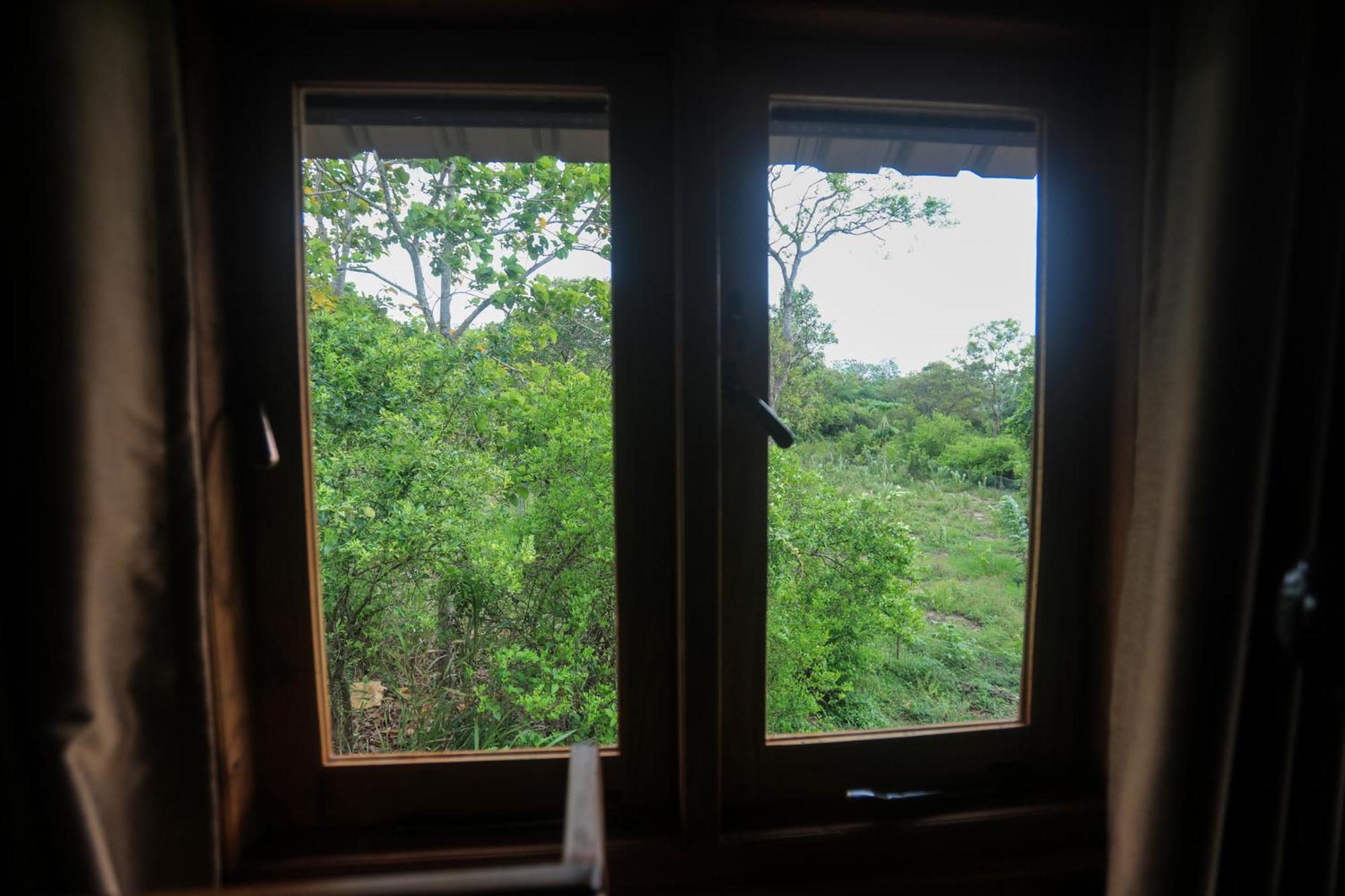 Lion Wood Treehouse Villa Talkote Eksteriør billede