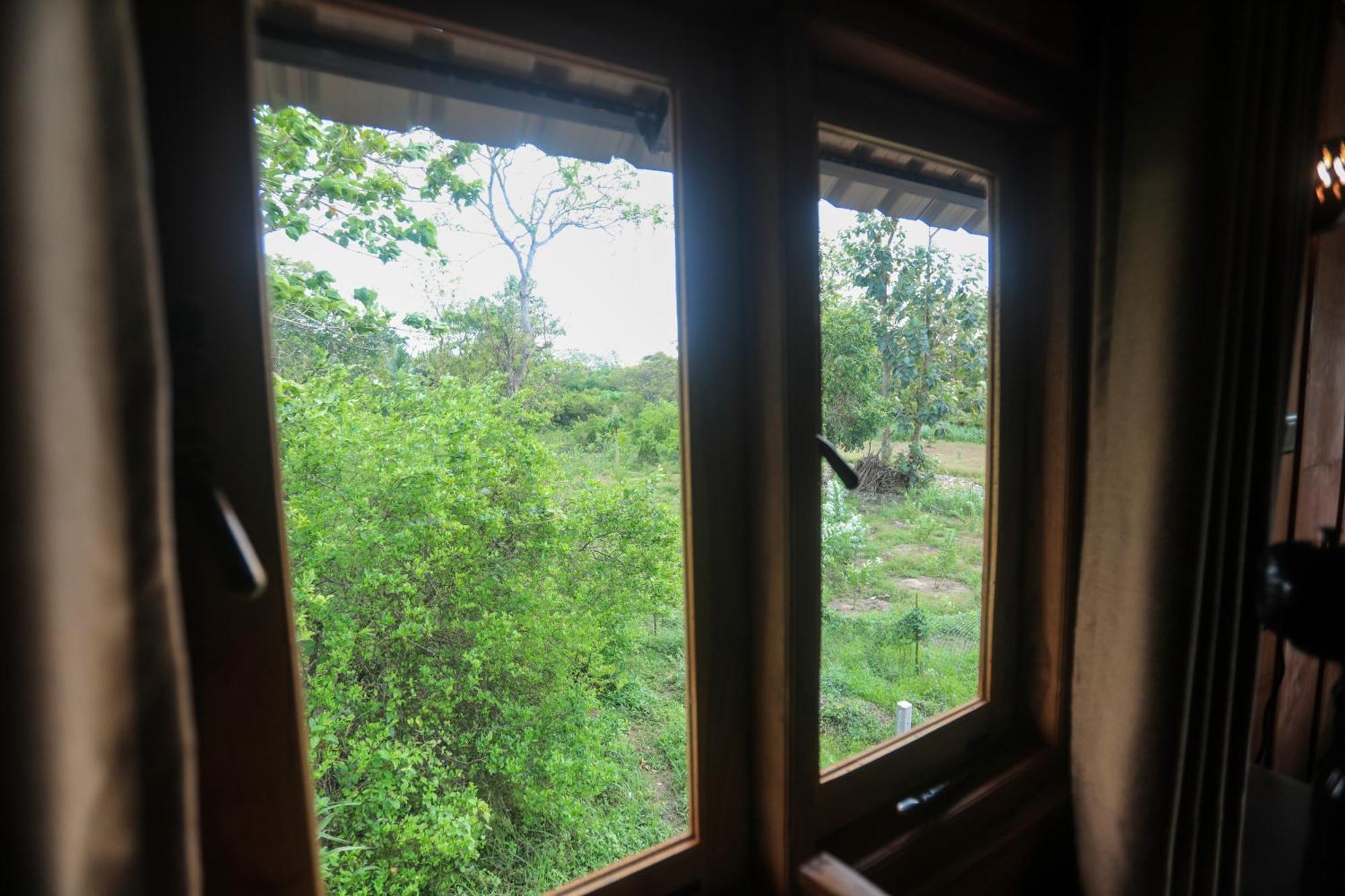 Lion Wood Treehouse Villa Talkote Eksteriør billede