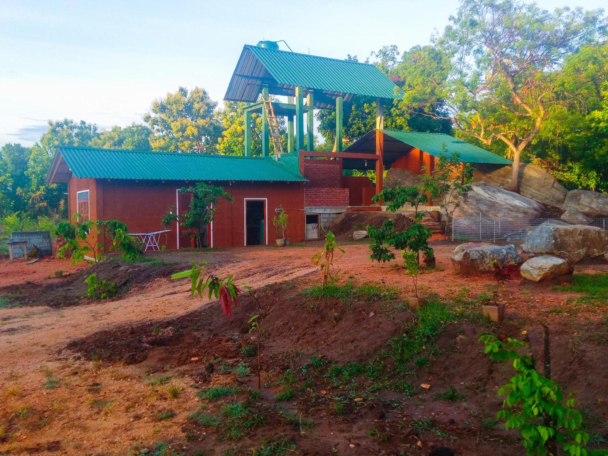 Lion Wood Treehouse Villa Talkote Eksteriør billede