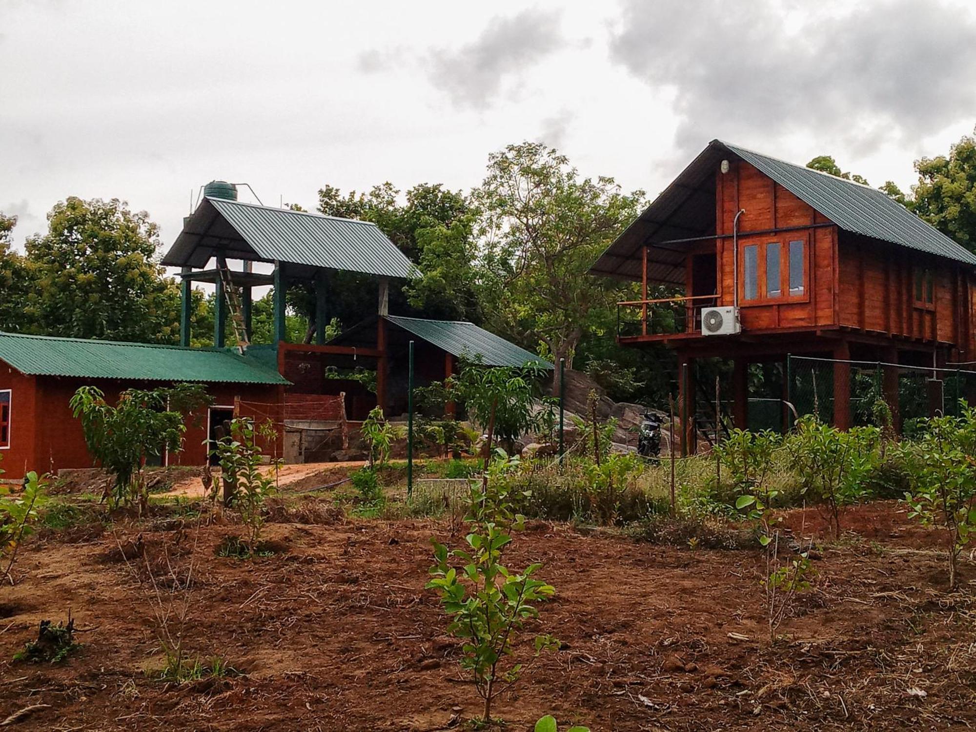 Lion Wood Treehouse Villa Talkote Eksteriør billede