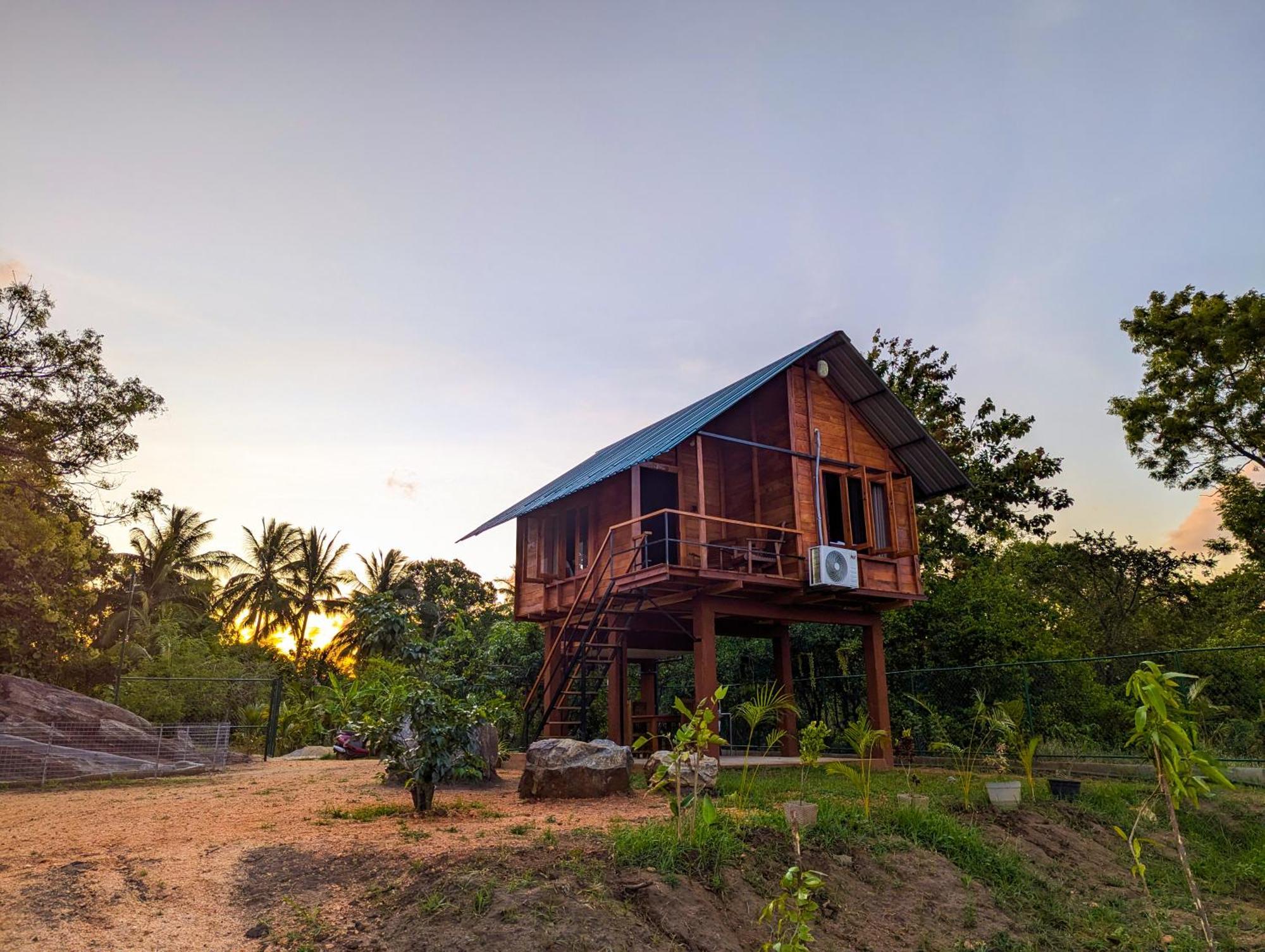 Lion Wood Treehouse Villa Talkote Eksteriør billede