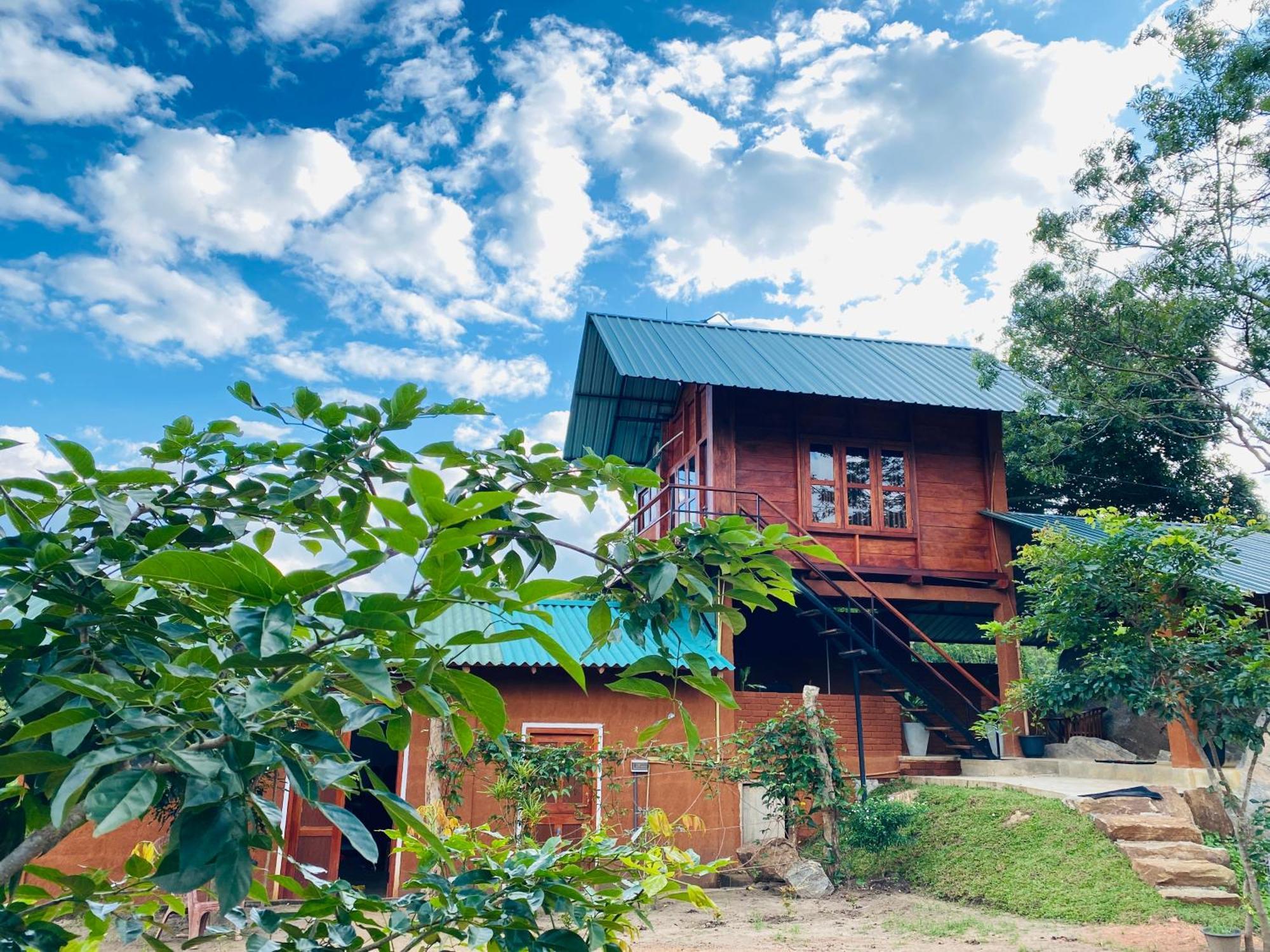 Lion Wood Treehouse Villa Talkote Eksteriør billede